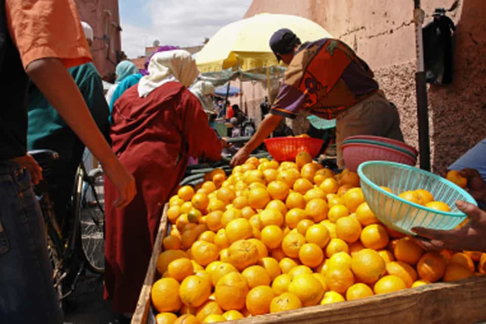 morocco oranges2