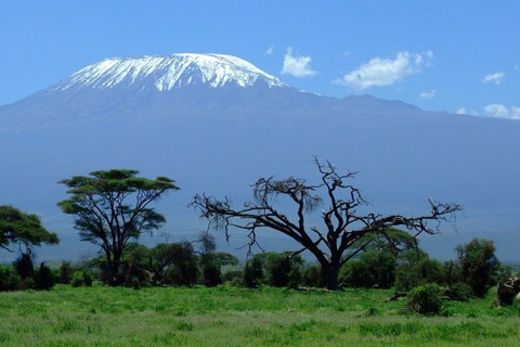 Kenya Kilimanjaro