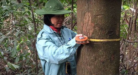 Women in Forest Carbon Initiative2